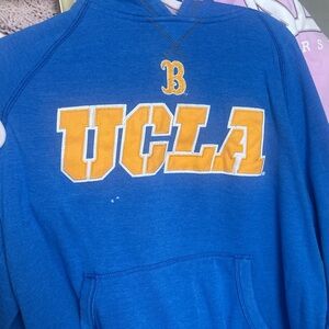 Champion Blue Hoodie